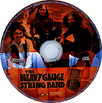 The Heavy Gauge String Band